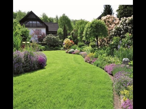 kaliumreicher dünger Dennerle Plant Care K main image 0
