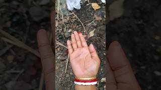 Introducing The Vitawear Smartband, A Next-Generation Wearable Gadget