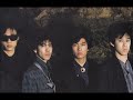 THE BUDOKAN / Maybe I Love You