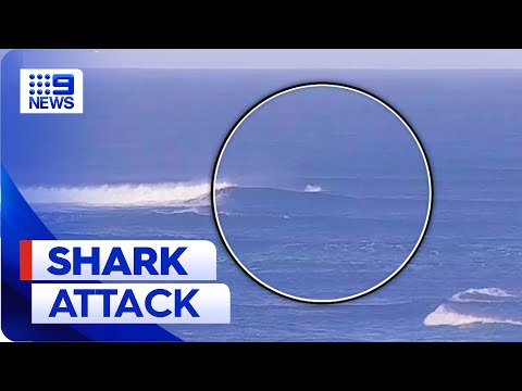 Surfer bitten by great white shark in Perth | 9 News Australia