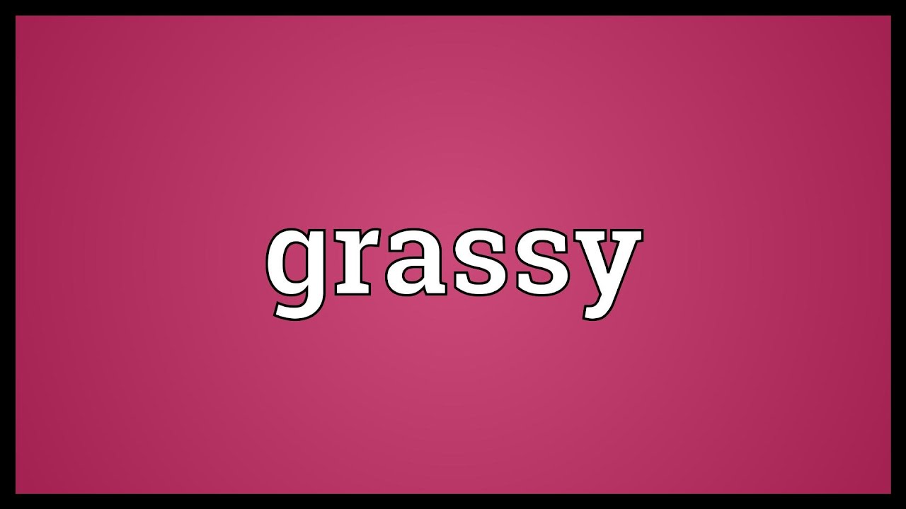 Grassy Meaning YouTube