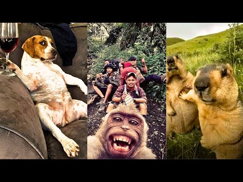 Hilarious 1 Hour Comedy Compilation🤣: The Funniest Short Ever!🤣