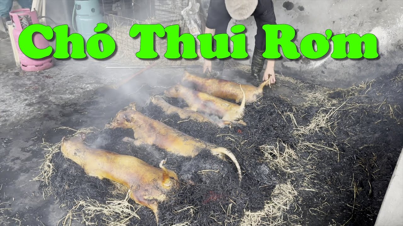 Tuyệt Phẩm Chó Thui Rơm, Mồi Nhậu Không Thể Chối Từ - YouTube