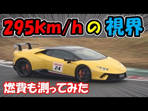 ★フェラーリ・モデューロ/ランボルギーニ・ブラボ 両面ピンナップ Amazon.co.jp: ハピネット(Happinet) 1/14 RC Lamborghini
