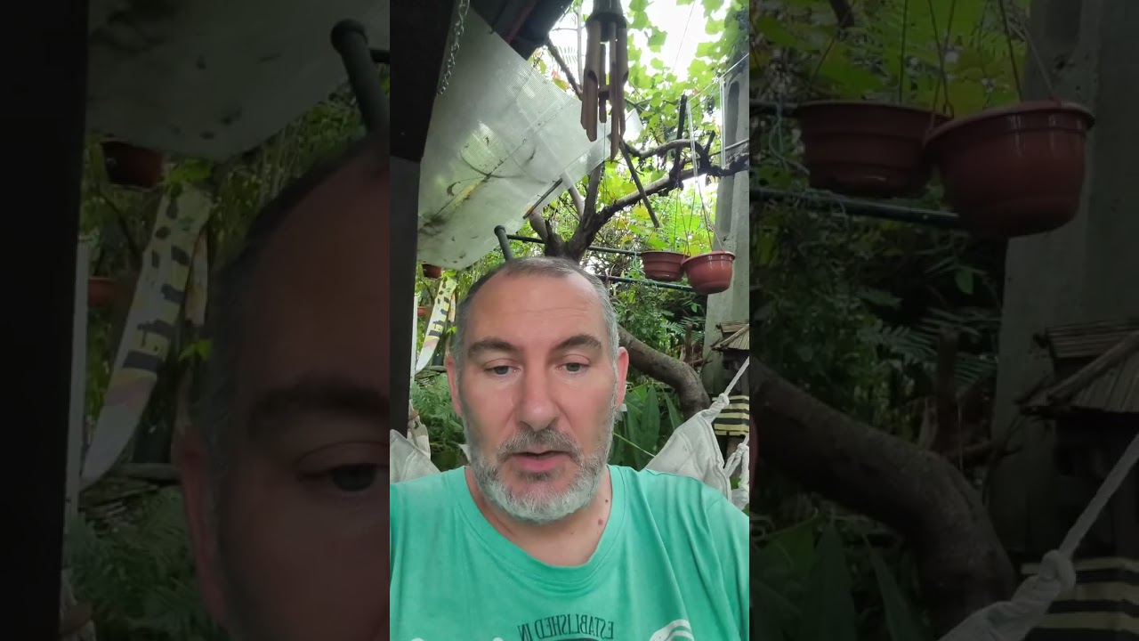 Odpowiadanie użytkownikowi bartoszekfh a czy może on od razu zamawiać, ciekawie się robi