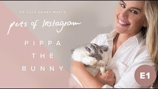 Famous Instagram Pets E01 03 - Pippa The Bunny - Dr Kate Adams Bondi Vet