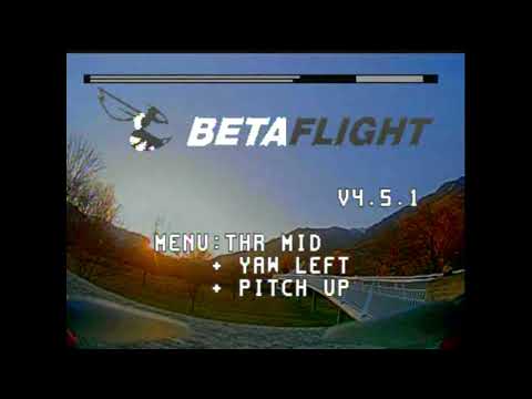 FPV Analog - whooping around like a crazy bee