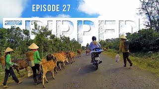 VIETNAM IS BEAUTIFUL - Remote Mountain Roads on Motorbike