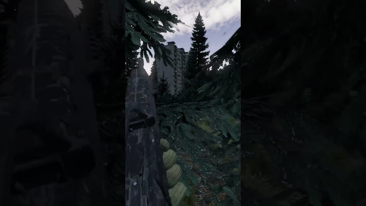 The Last Words You Hear in DayZ