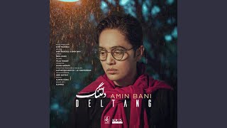 Deltang - Amin Bani
