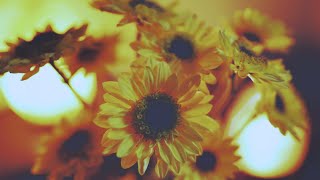 [ASMR] hypnotherapy for self worth - RUINED by ads from 3rd party claimant, please use adblock screenshot 3