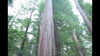 Doing stuff in Humboldt County CA (HD)