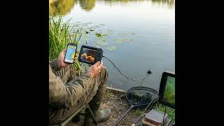 Using Tech in June Tench Fishing: Sonar, Mapping Apps, and Underwater Cameras