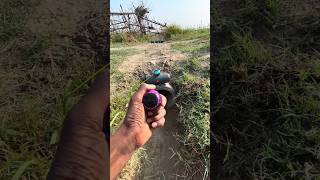 Mini JBL Speaker Full Damage Test | Real Truth!