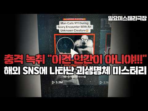 X에 공개된 <strong>괴생명체</strong> '더 레이크' 미스터리 ㅣ일요미스테리극장