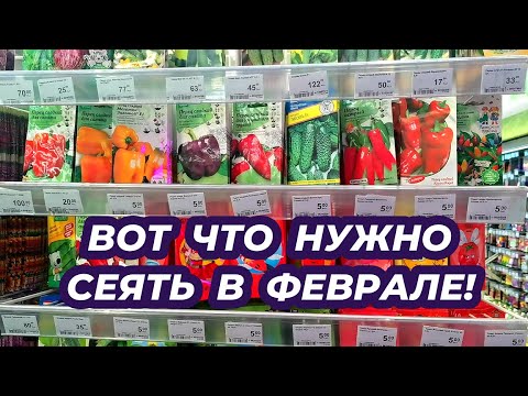 посадка семян. пикировать помидоры черри. когда сажать рассаду. рассада томатов. посев помидор на рассаду в 2024.