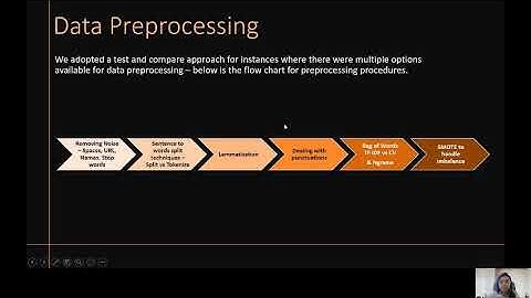 DSP Cyber Bullying Text Detection - Semester Project