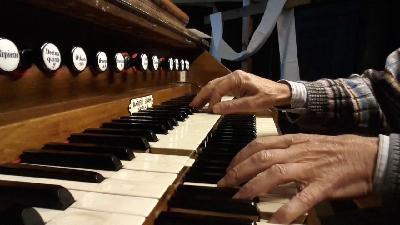Zipoli Domenico Zipoli all'elevazione in F - YouTube