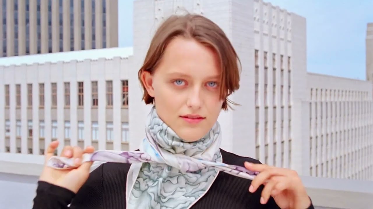 Hermès Silk Scarves by David Lane