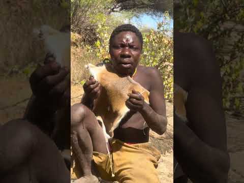 Someone Stole CHAABA S Meat His Reaction Is Priceless Hadzabetribe Wildlifecomedy