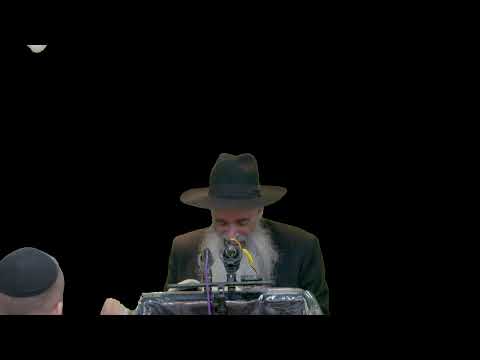 הרב מאיר דוד שמואלי ההצלה מפני הכטבמי"ם והטילים הבליסטיים, וביאת משיח צדקינו.