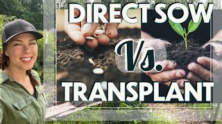 Transplant or Direct Sow in the vegetable garden