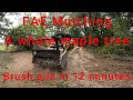 Forestry Mulching brush pile in 12 minutes