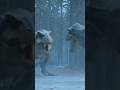 Only one leaves alive…#jurassic #prehistoriclife #dinosaur #movie