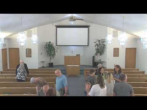 Video preview