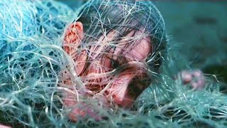 Humanity Extend Their Dying Civilization On An Alien Planet Anium Film