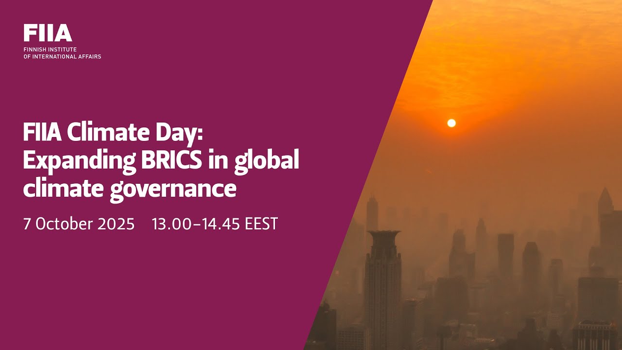 FIIA Climate Day: Expanding BRICS in global climate governance - YouTube