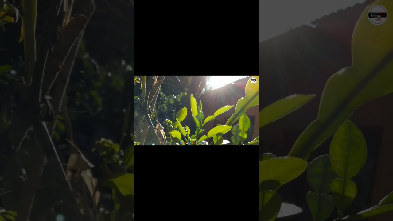 Google Pixel 3 video test | Pixel 3 camera test | pixel camera quality 😍❤️ | #shorts  @tharuzct