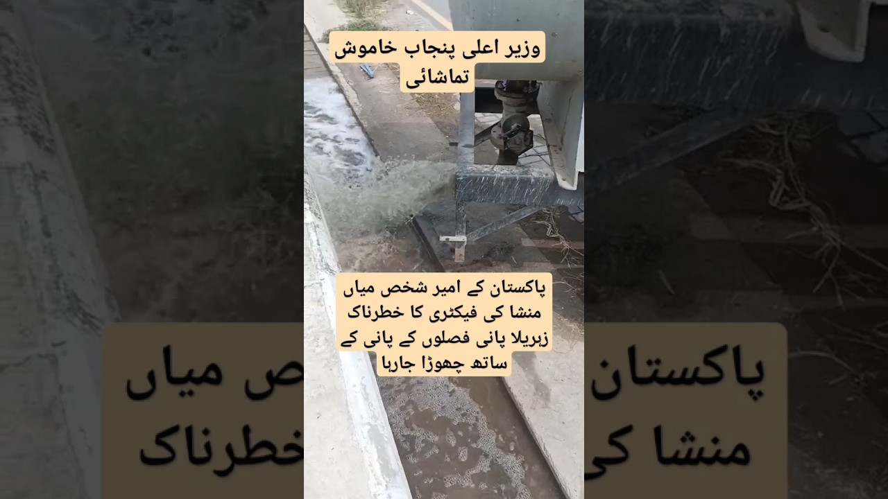 mian mansha factory waste 