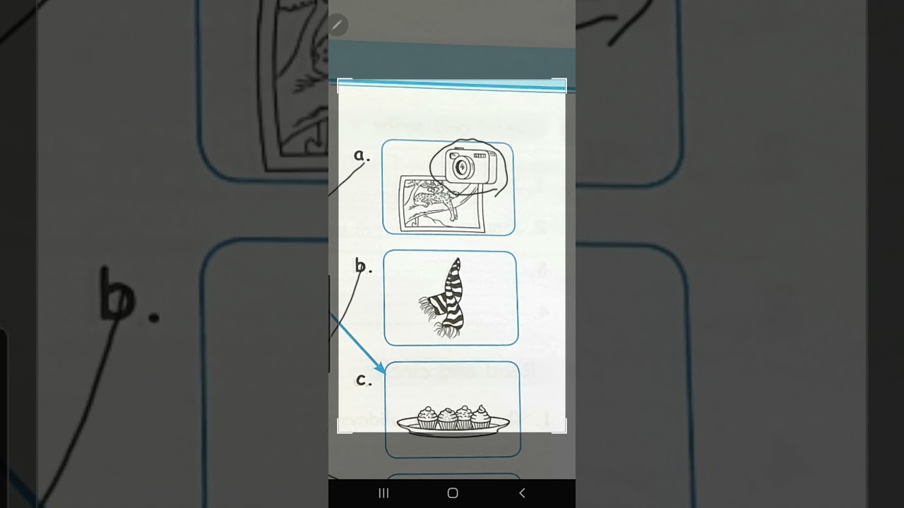 Action pack, Activity Book, page 51.