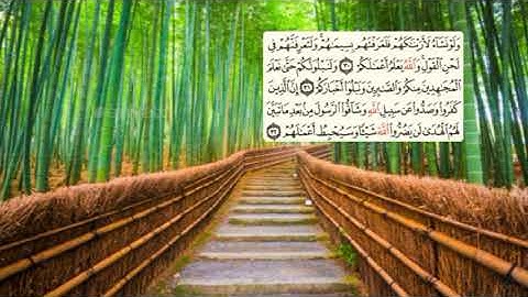 510-page سعد الغامدي - -سورة -محمد MUHAMMAD - 47