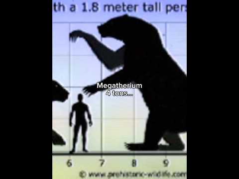 Modern animals compared