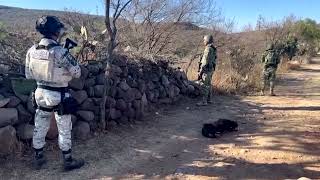 Secret tunnel discovery offers glimpse of Mexico's fuel black market
