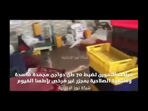 شاهد مباحث التموين تضبط ٧٠ طن دواجن مجمدة فاسدة بمجزر غير مرخص شبكة نيوز الأخبارية