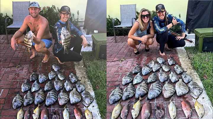 River spearfishing! Fish and stone crabs with Cole...