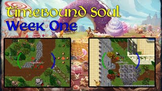 Famous Tibia 1 Hour a Day Progression | Week 1 |  Foundations Net Worth