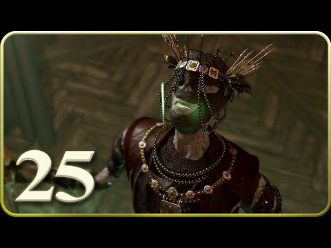 Baldur's Gate 3 [25]