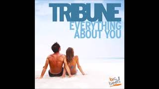 Tribune - Everything About You (DJ THT Remix)