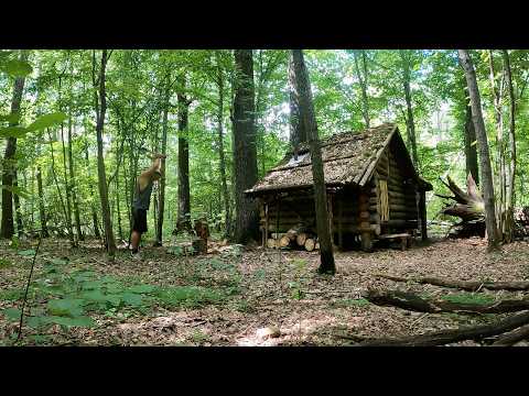 Hiding in an old log cabin. Bushcraft life