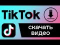 Как скачать видео из TikTok. Сохраняем любое видео из ТикТок без водяного знака