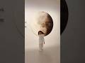 Unbelievable Moon Painting #familyvlog #visitqatar #abeesha #shorts #trending #viral #shortvideo