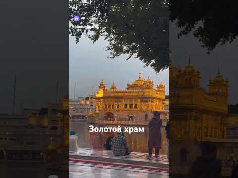 Красивый золотой храм- #индия #факты #культура #храм #Punjab #goldentemple #
