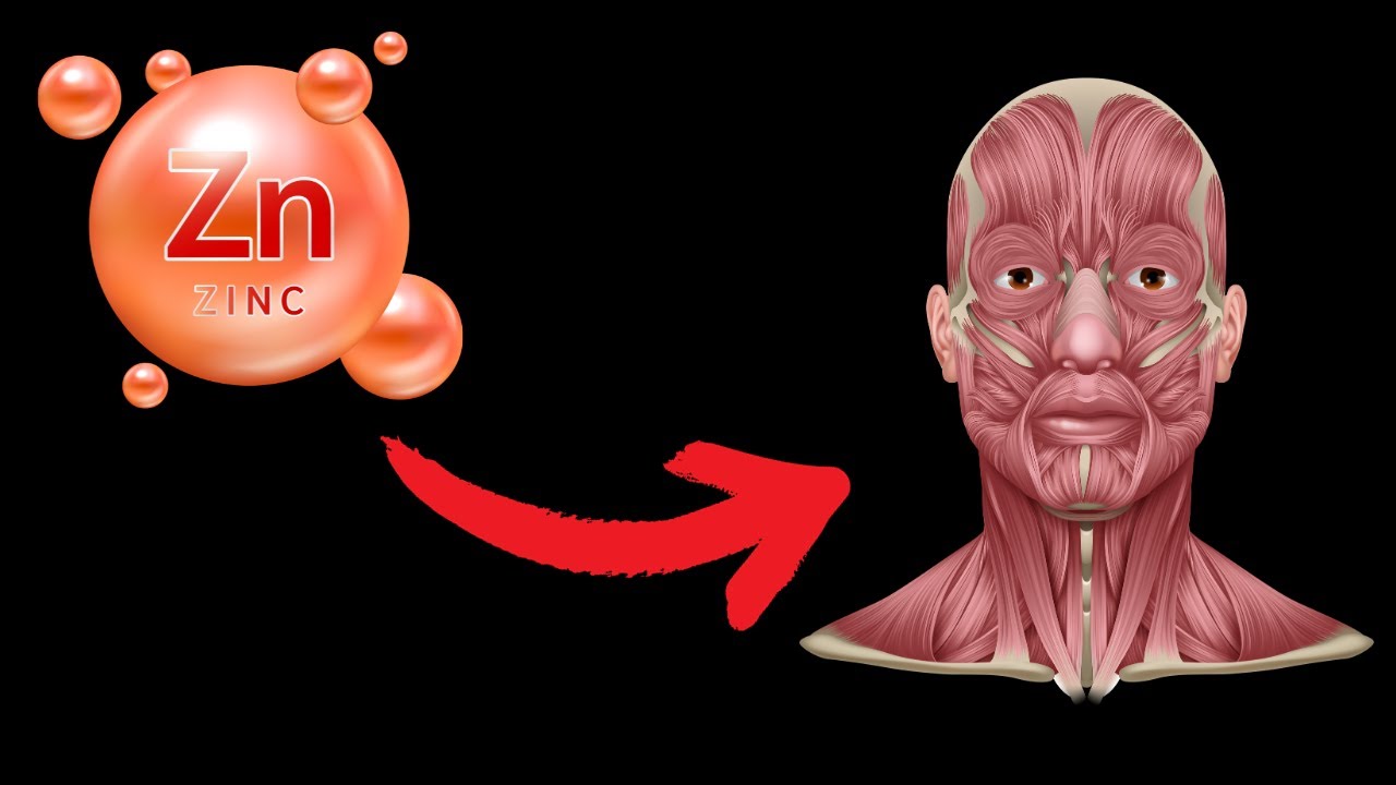 What happens when you start taking zinc every day? YouTube