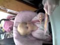 Cute Lily loves kissing her kitty cat 1st birthday card "kiss kiss"