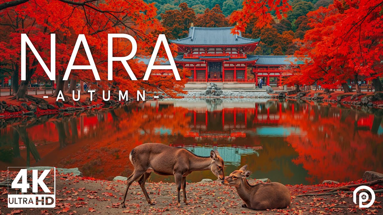 Nara, Japan in Autumn 4K - Amazing Beautiful Nature Scenery with Relaxing Music