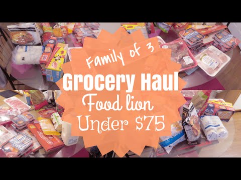Grocery Haul | Under $75 Affordable Haul | Food Lion Haul | LifeAsBrittany | DAILY MOM VLOG